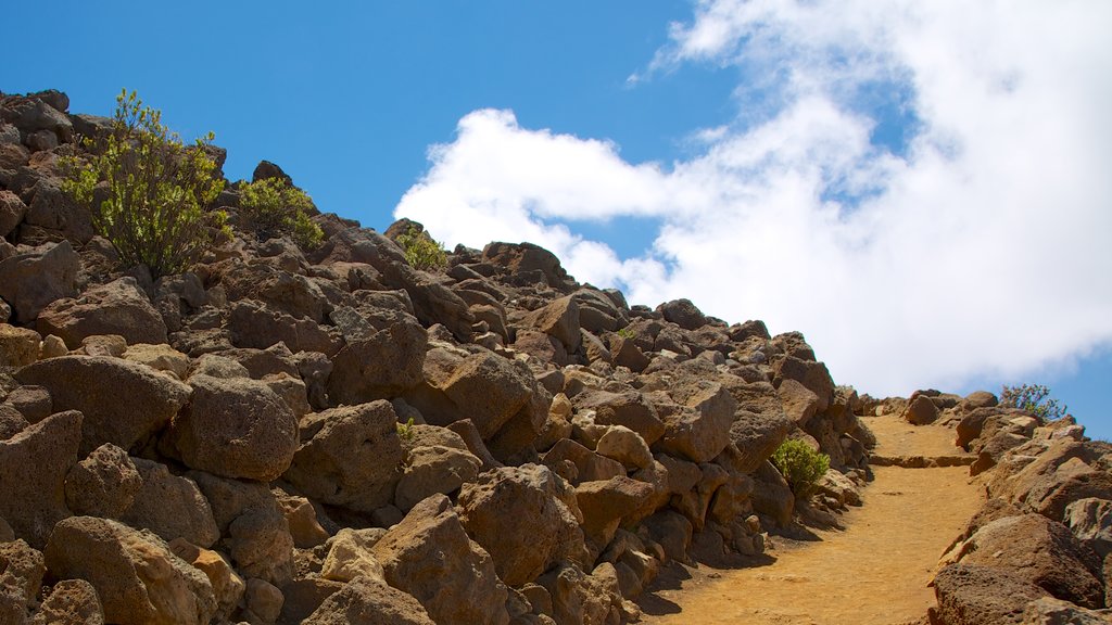 Haleakala Crater showing hiking or walking and tranquil scenes