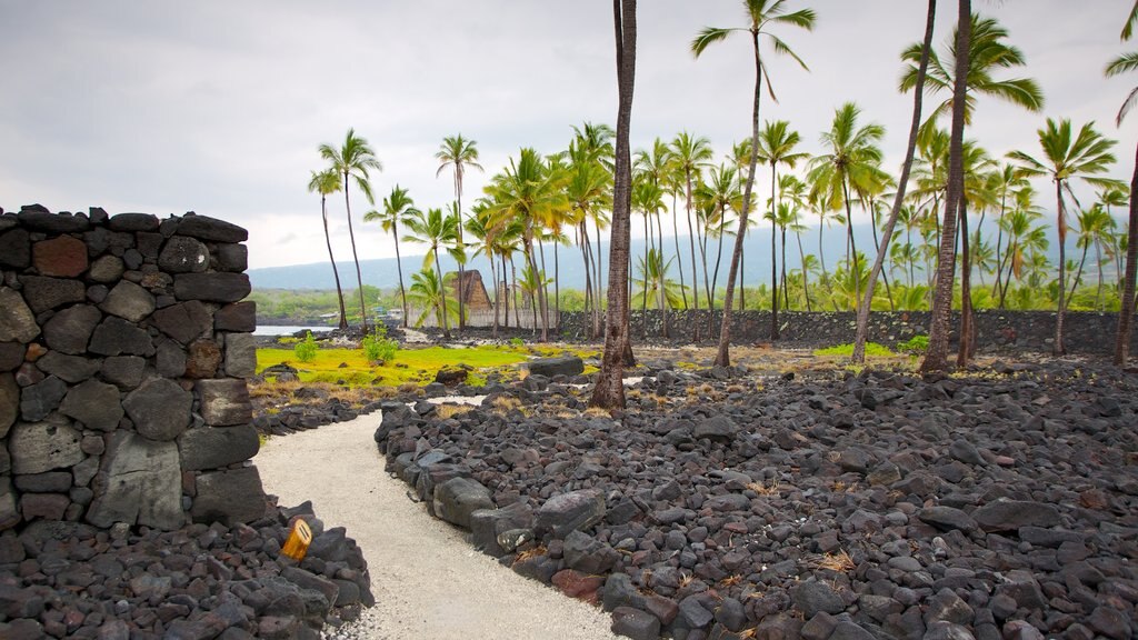 Nationaal-historisch park Pu\'uhonua o Honaunau bevat tropische uitzichten