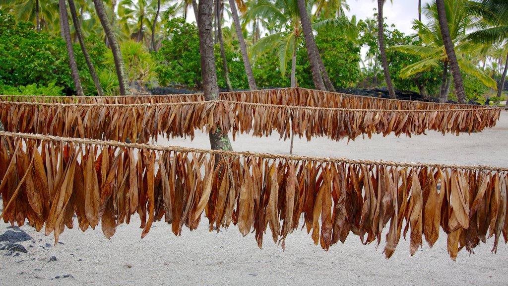 Pu\'uhonua o Honaunau National Historical Park mostrando una playa de arena