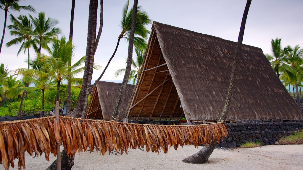 Pu\'uhonua o Honaunau National Historical Park som omfatter en sandstrand, udsigt over kystområde og tropiske områder