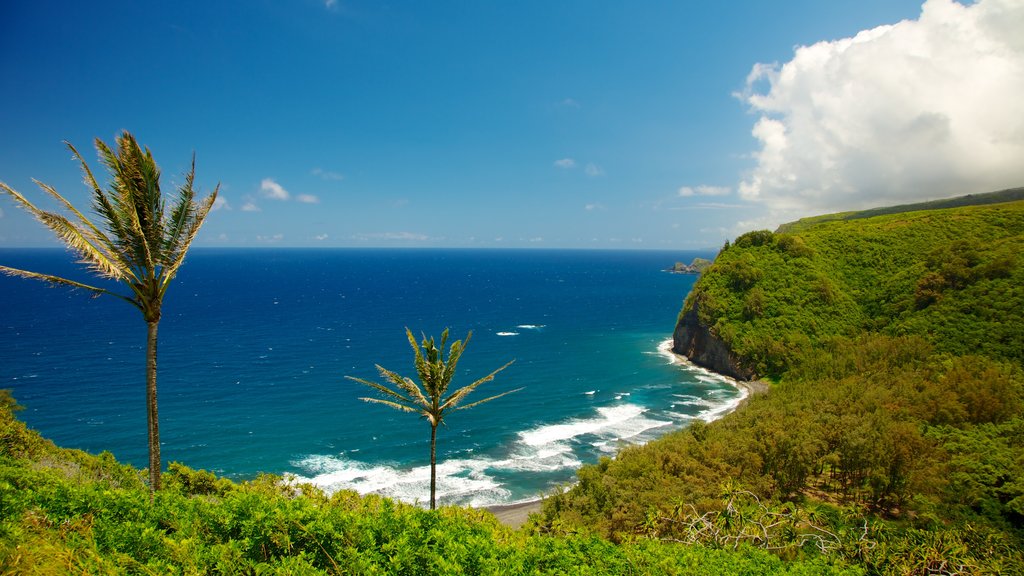 Pololu Valley Overlook which includes tropical scenes, landscape views and general coastal views