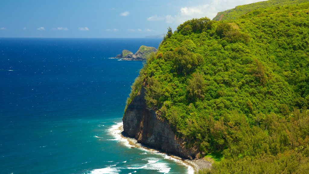 Pololu Valley Overlook showing general coastal views and landscape views