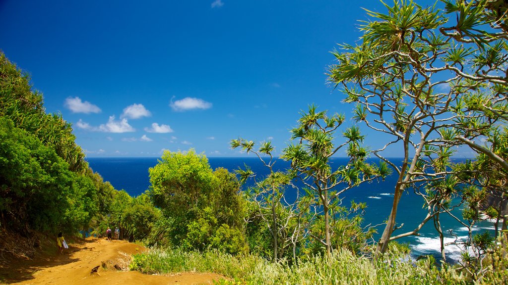 Pololu Valley Overlook og byder på udsigt over kystområde og udsigt over landskaber