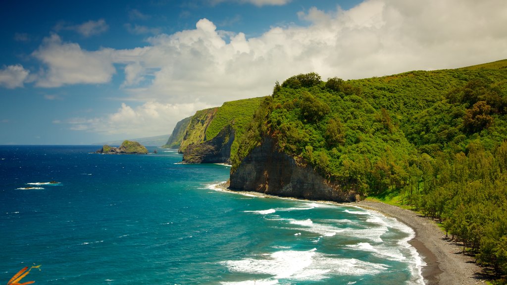 Pololu Valley Overlook showing general coastal views and landscape views