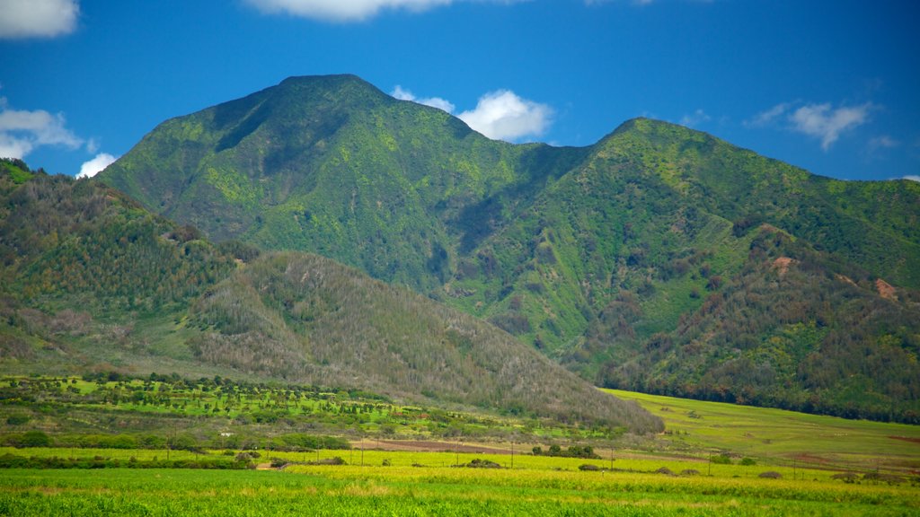 Maui Island showing mountains and landscape views