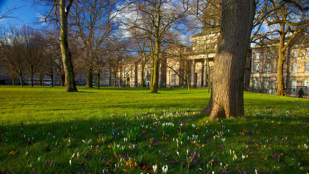 Georgian House toont historische architectuur, een park en een stad