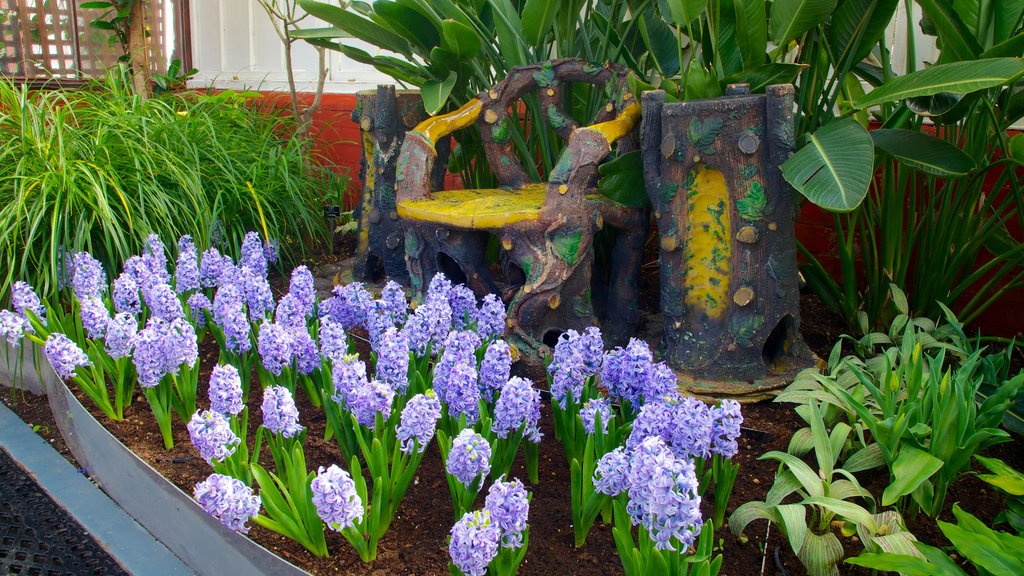 Queen\'s Park showing a park and flowers