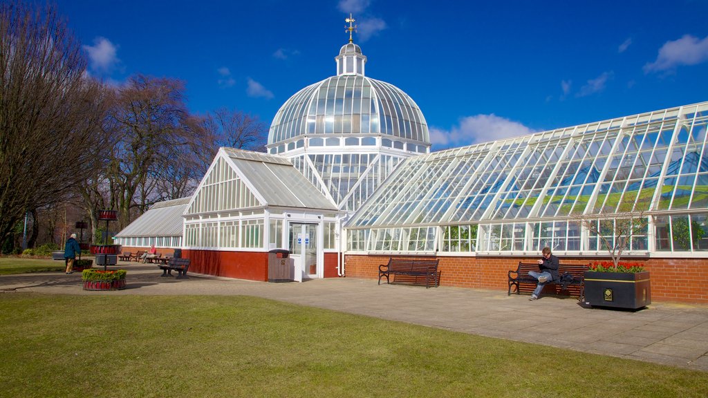 Queen\'s Park showing a garden