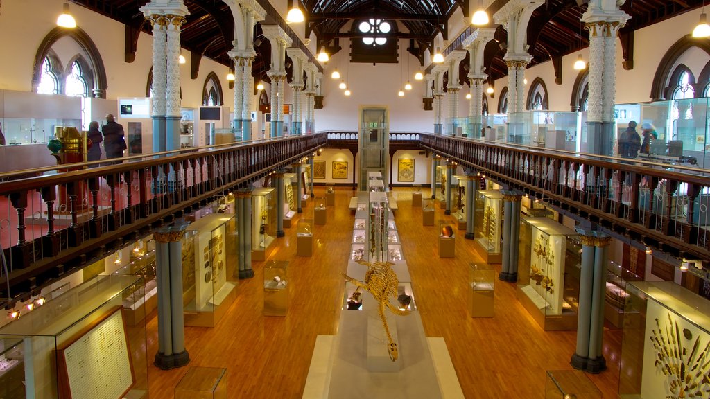 Bảo tàng Hunterian có tính năng cảnh nội thất