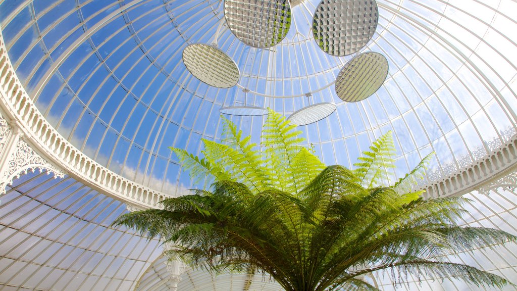 Botanic Gardens showing interior views and a park