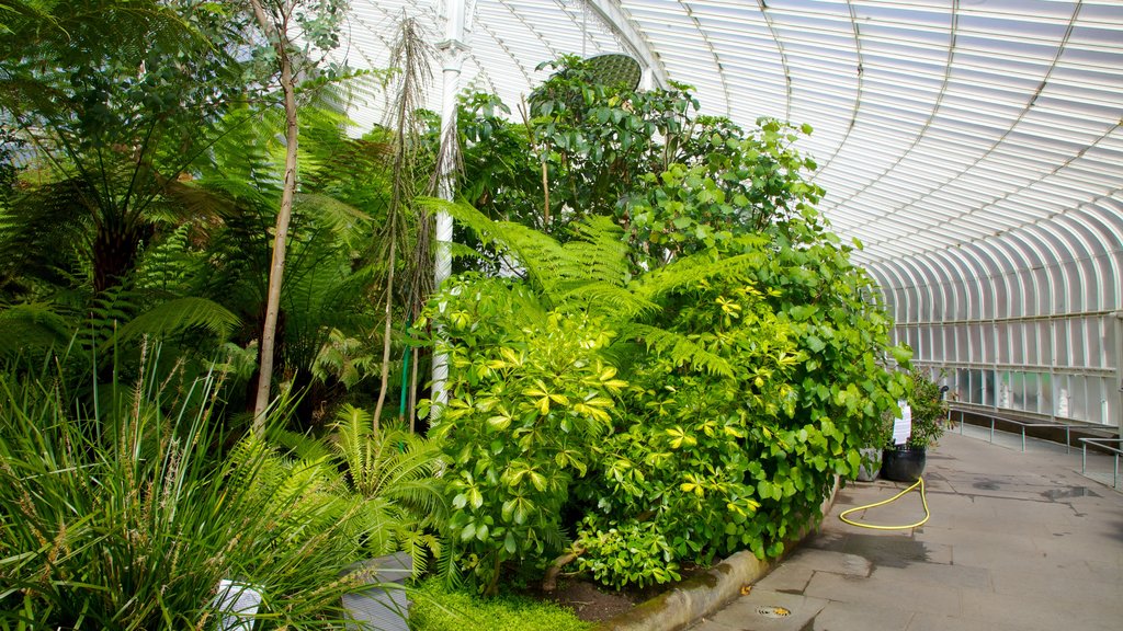 Botanic Gardens showing a park and interior views