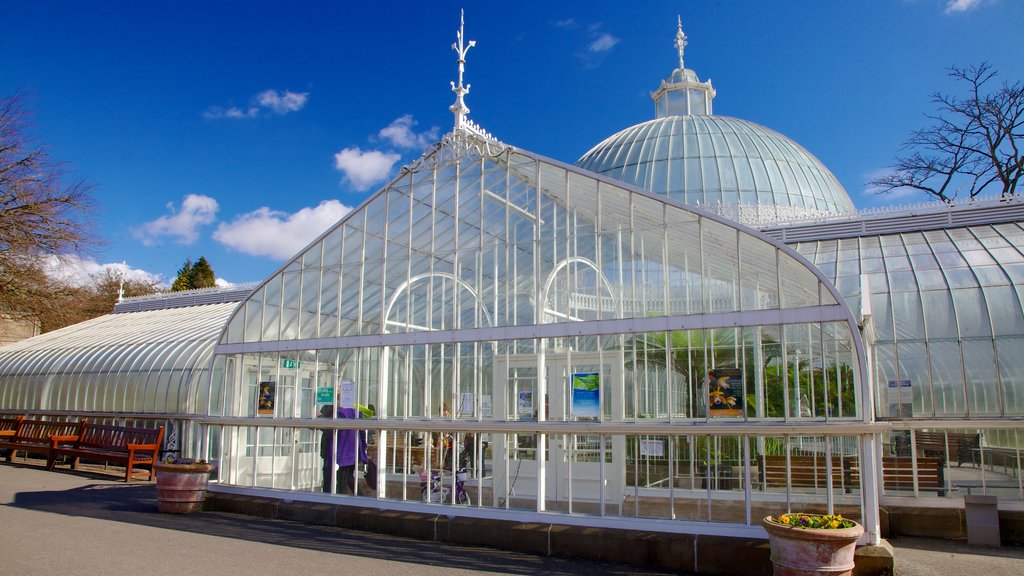 Botanic Gardens ofreciendo jardín