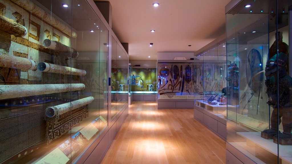 Manchester Museum showing art and interior views