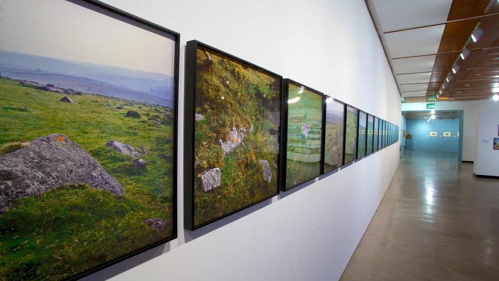 Whitworth Art Gallery showing art and interior views