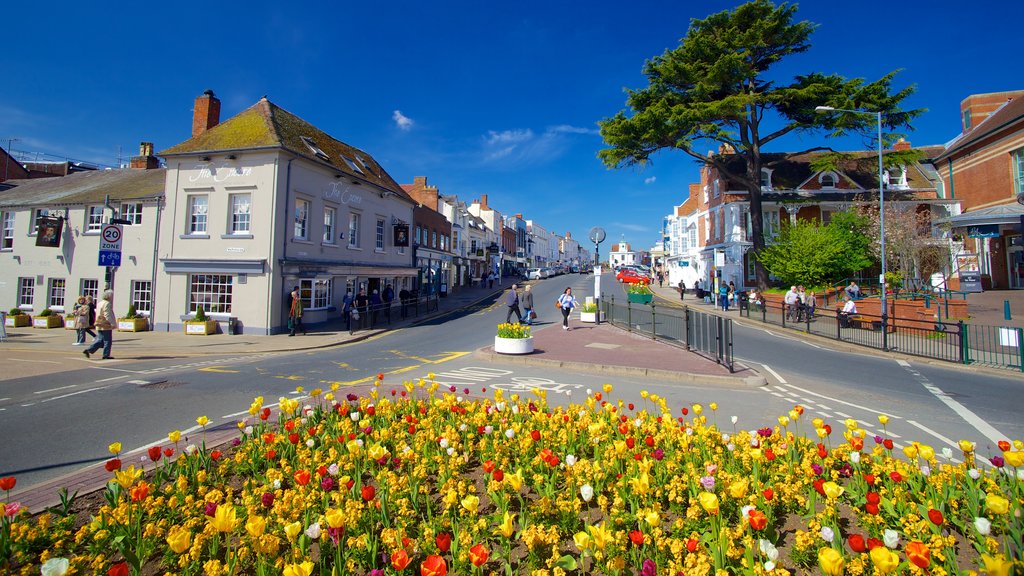 Stratford-upon-Avon ofreciendo imágenes de calles, flores y una pequeña ciudad o aldea