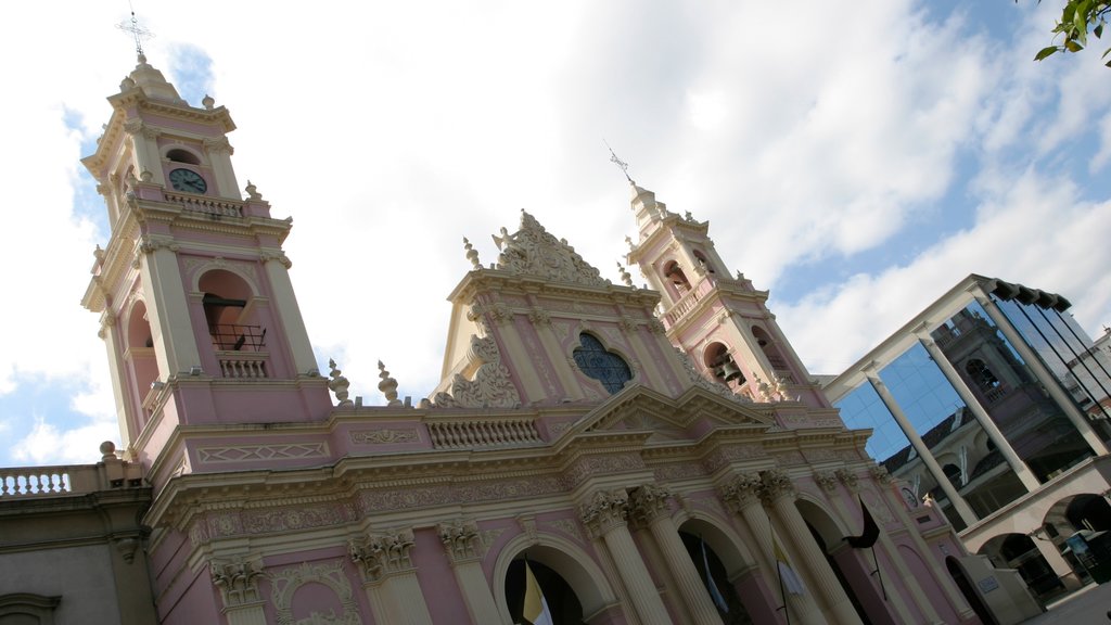 Salta showing a church or cathedral, zoo animals and views