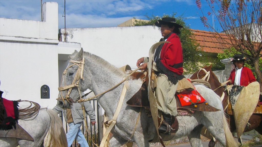 Salta showing horseriding and land animals