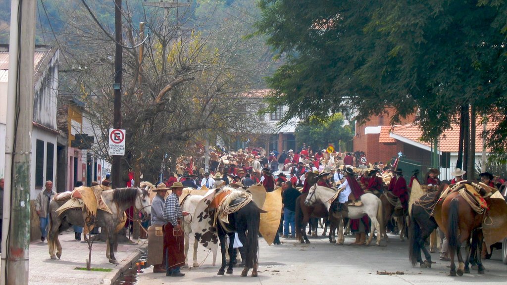 Salta mostrando una pequeña ciudad o pueblo, equitación y escenas urbanas