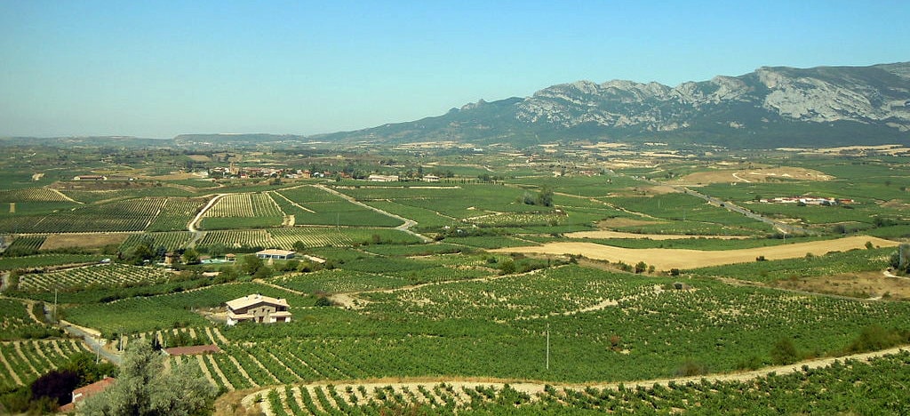 La Rioja Alavesa - By G. Villar (Own work)  , via Wikimedia Commons