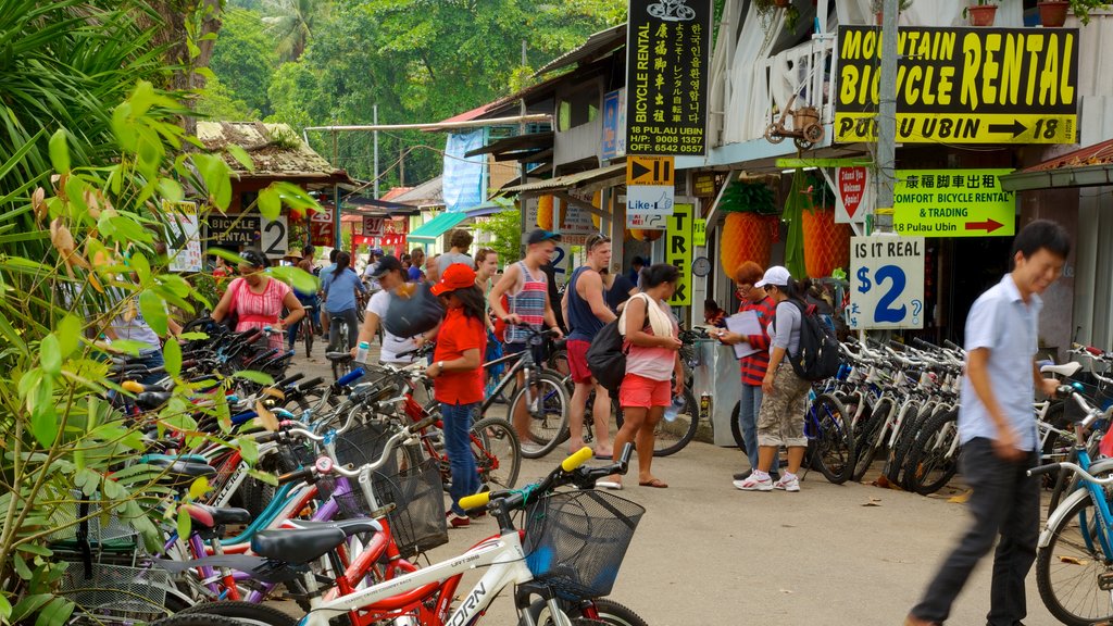 Pulau Ubin showing a small town or village, signage and shopping