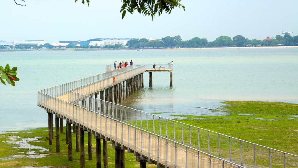 Pulau Ubin que incluye vistas generales de la costa y vistas