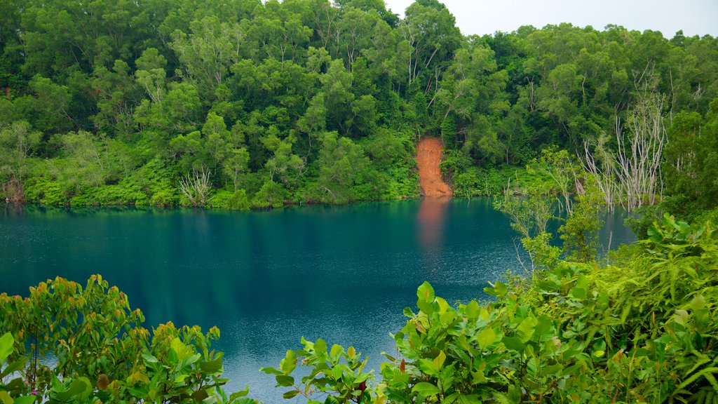 Pulau Ubin ofreciendo escenas forestales, vistas de una isla y un lago o abrevadero