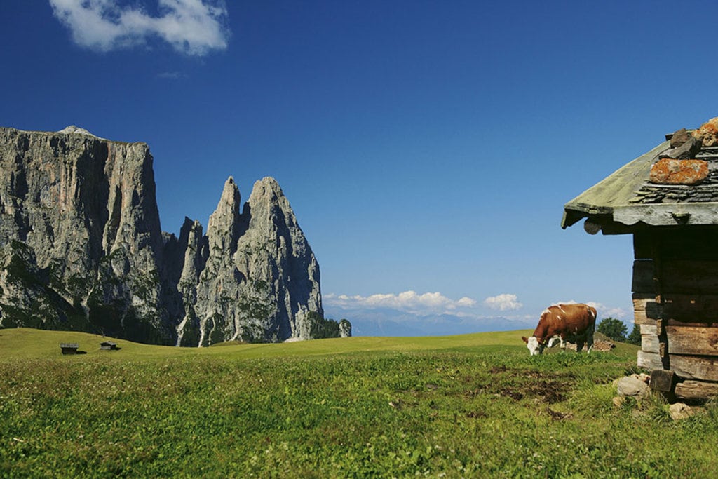 Lo splendido altipiano dell'Alpe di Siusi. Foto di Frieder Blickle. Courtesy of Sciliar IDM Sudtriol