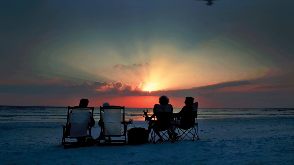 Siesta Key que inclui uma praia de areia, um pôr do sol e paisagens litorâneas