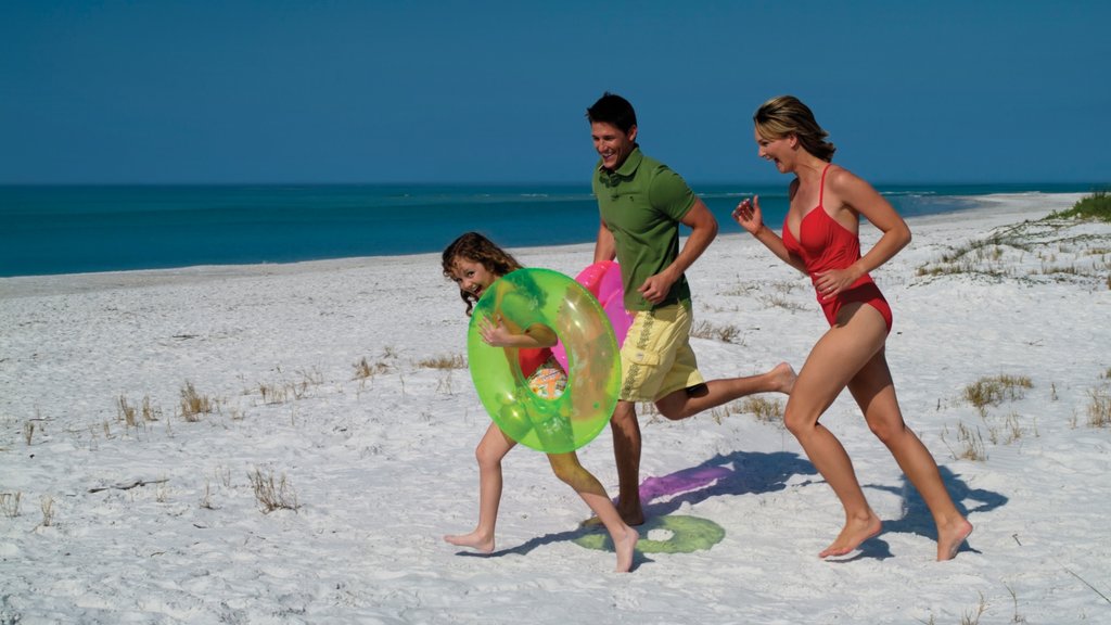 Siesta Key showing a beach as well as a family