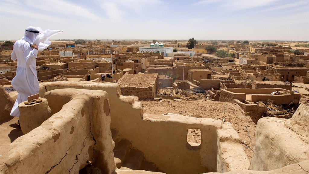 El Cairo ofreciendo arquitectura patrimonial y vista al desierto y también un hombre