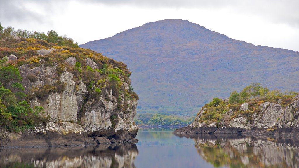 Killarney mostrando un lago o espejo de agua, vista panorámica y un río o arroyo