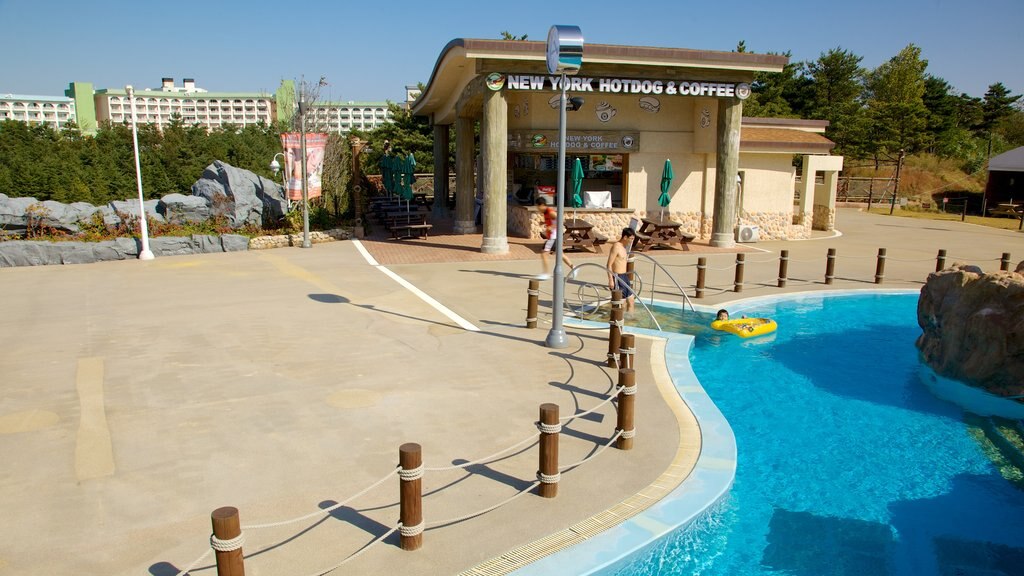 Sokcho showing a water park