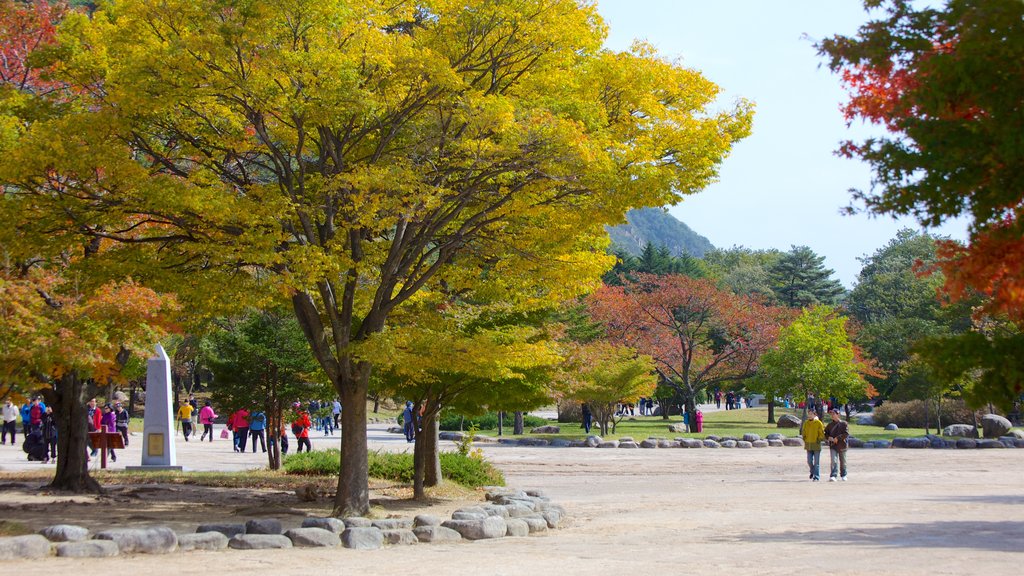 Parque Nacional Seorak-san ofreciendo colores de otoño, una plaza y jardín