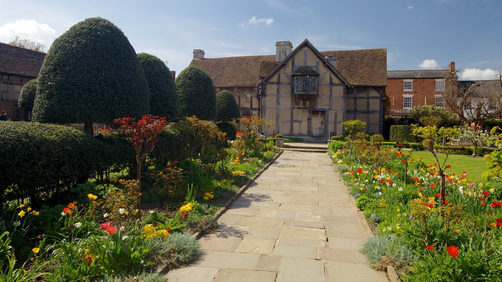 Birmingham mostrando flores, uma cidade pequena ou vila e um jardim