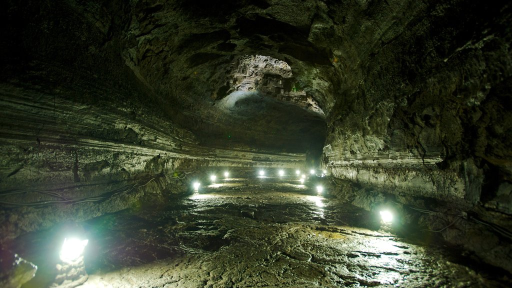 Manjanggul Lava-tube Cave featuring caves, night scenes and interior views