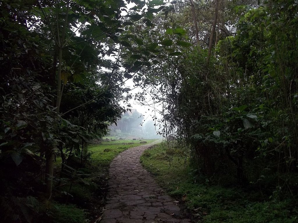 Uno dei sentieri della foreste pluviale Chicaque - De Olgahuertas - Trabajo propio, CC BY-SA 4.0, https://commons.wikimedia.org/w/index.php?curid=36813386