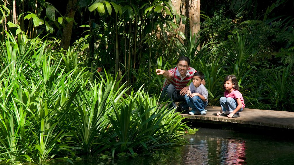 Tropical Spice Garden featuring a pond and a garden as well as a family