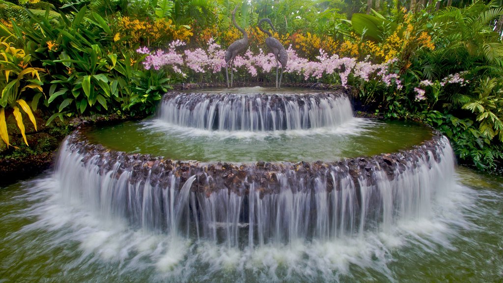 Singapore Botanic Gardens which includes wild flowers, a pond and a fountain