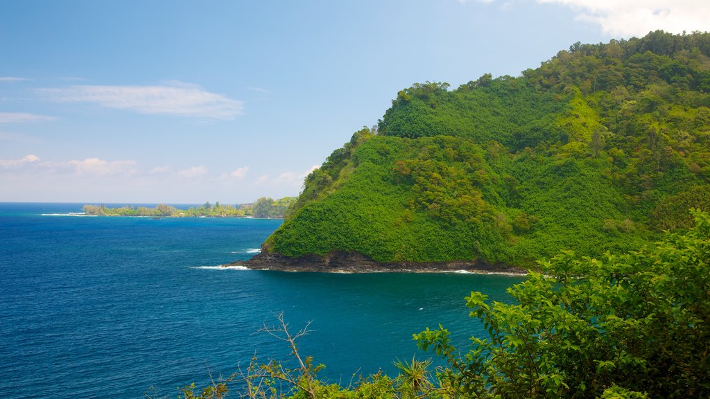 Isla de Maui mostrando montañas, vista panorámica y escenas tropicales