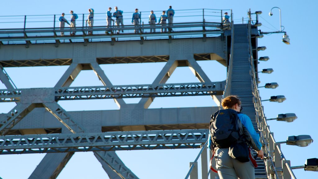 Puente Story Bridge que incluye vistas y un puente y también un gran grupo de personas