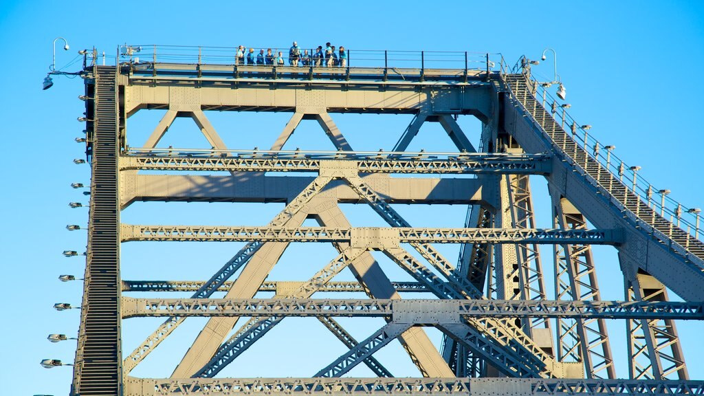 Story Bridge showing a bridge and views