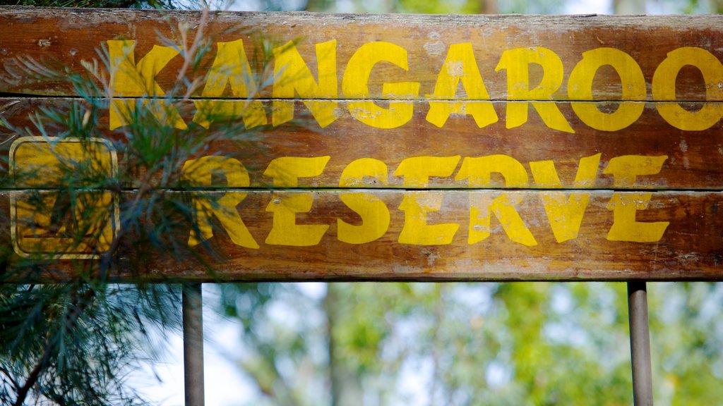 Lone Pine Koala Sanctuary showing signage and zoo animals