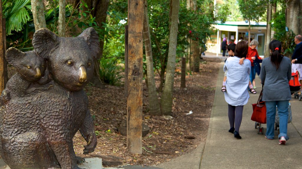 Lone Pine Koala Sanctuary ofreciendo animales del zoológico