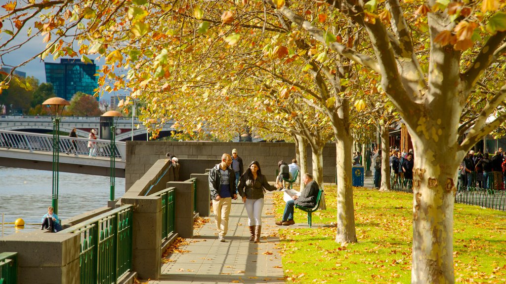 Southbank mostrando uma cidade e cores do outono assim como um casal