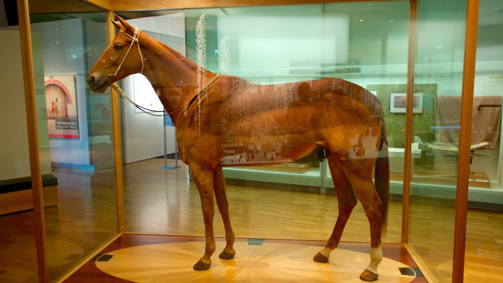 Melbourne Museum showing interior views