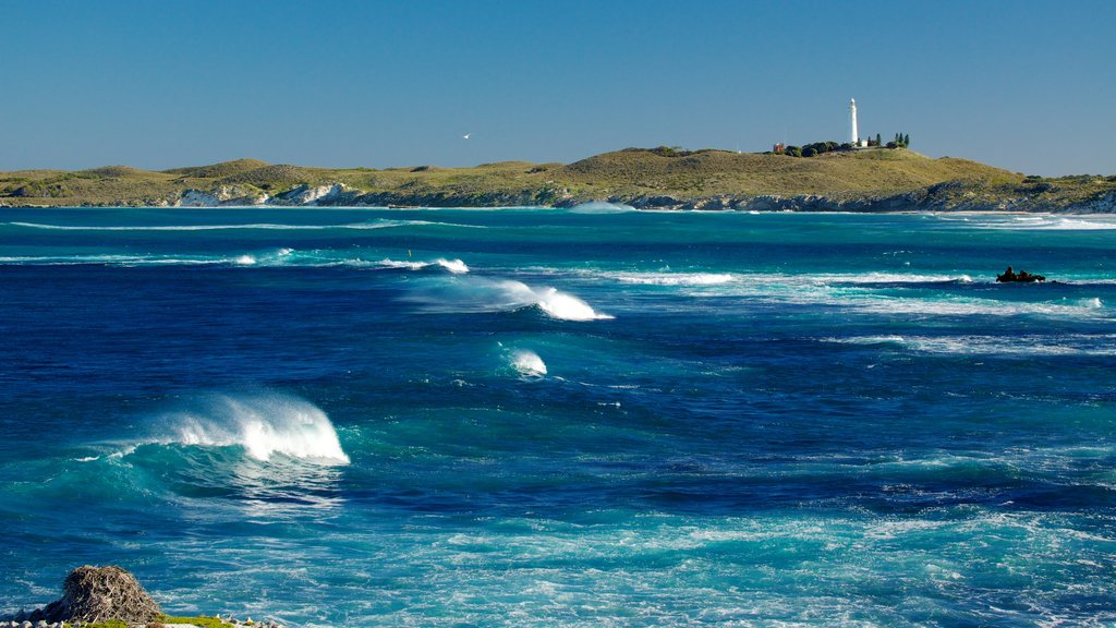 Isla Rottnest que incluye horizonte y olas