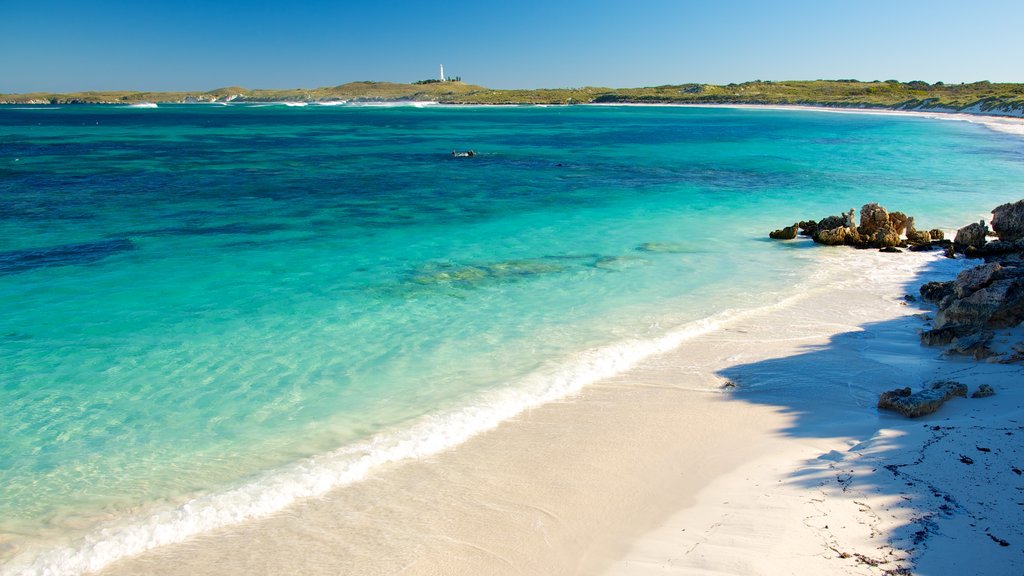 Rottnest Island caracterizando paisagem e uma praia de areia