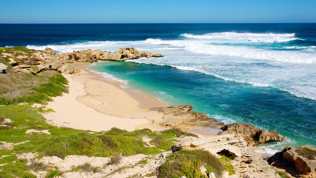 Rottnest Island og byder på udsigt over landskaber og en strand