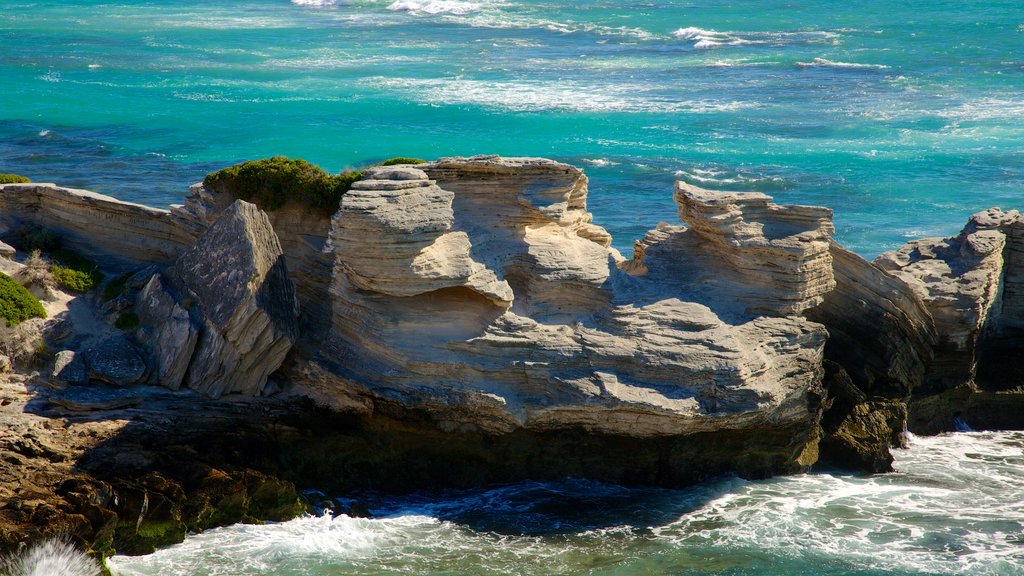 Rottnest Island featuring rugged coastline and landscape views