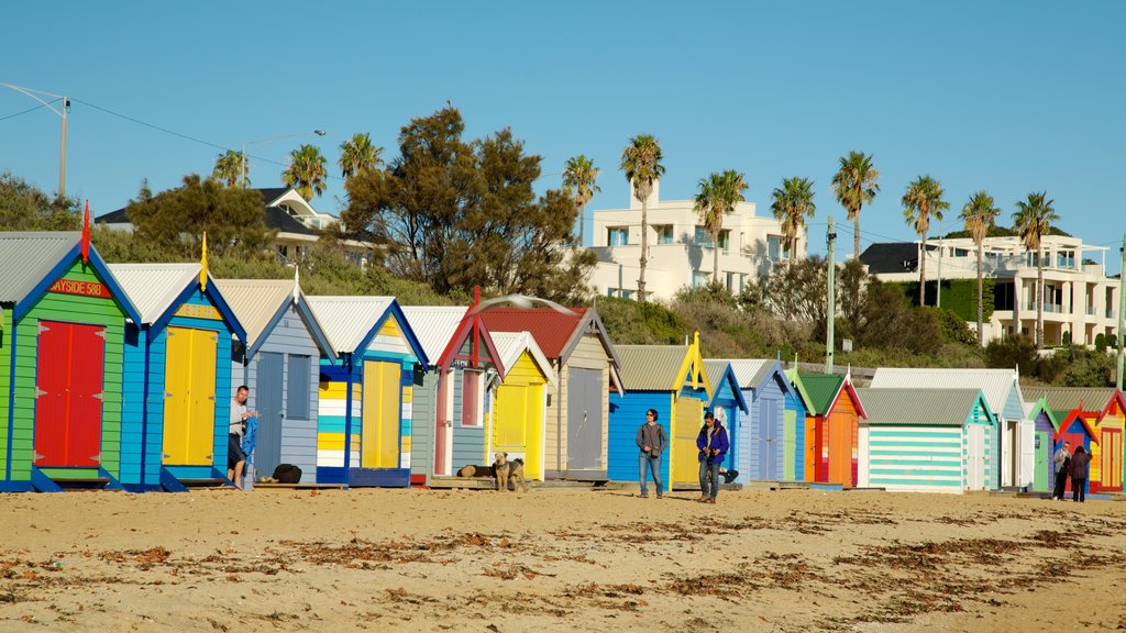 Brighton Beach featuring a beach, heritage architecture and a coastal town